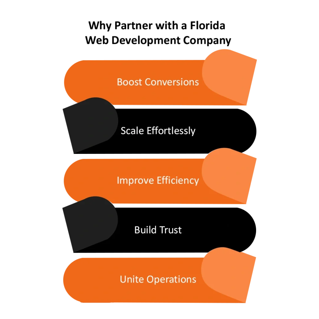 Why Partner with a Florida Web Development Company