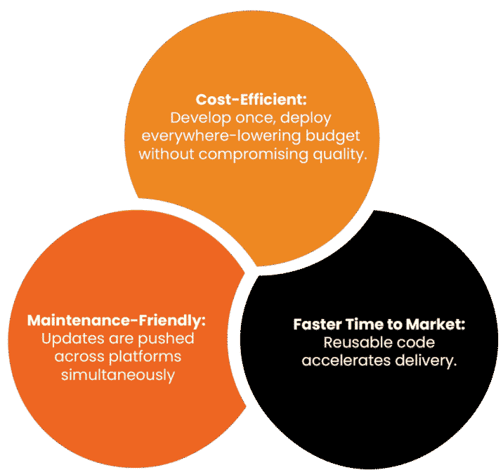 Why Choose Hybrid App Development?